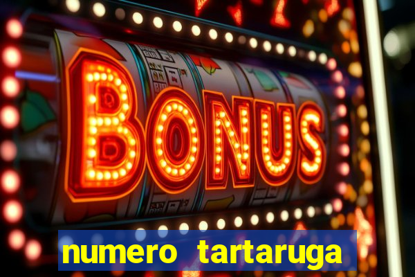 numero tartaruga jogo do bicho
