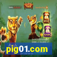 pig01.com