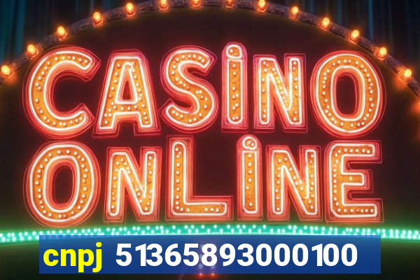 cnpj 51365893000100