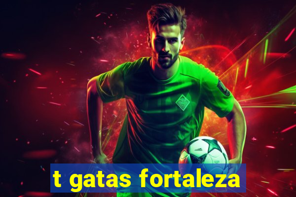 t gatas fortaleza