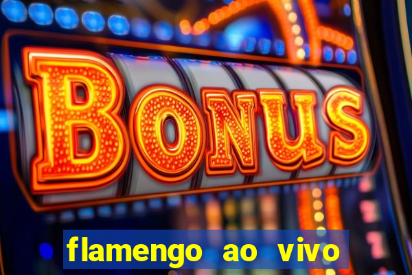 flamengo ao vivo multi tv