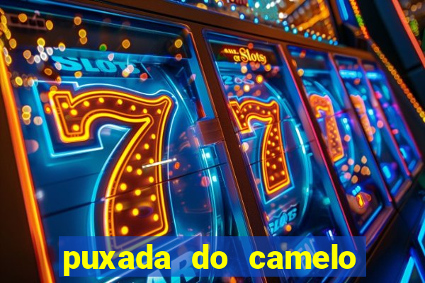puxada do camelo jogo do bicho