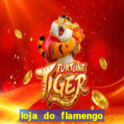 loja do flamengo taguatinga shopping