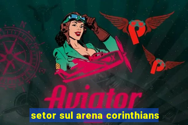 setor sul arena corinthians