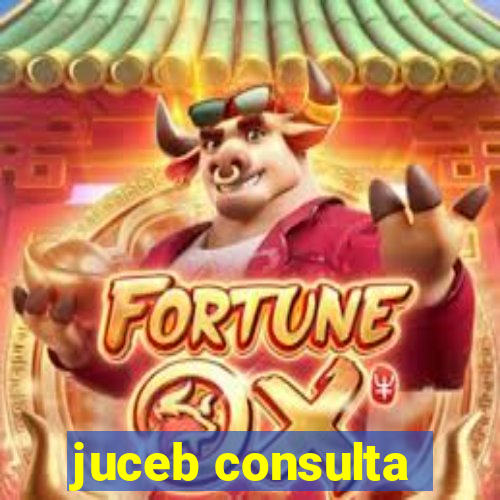 juceb consulta
