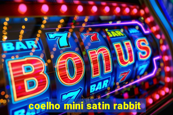 coelho mini satin rabbit