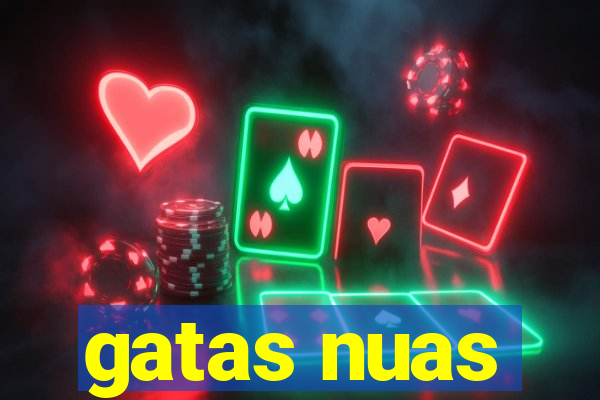 gatas nuas