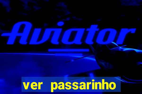 ver passarinho morto significado espiritual