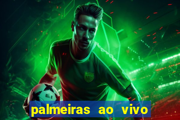 palmeiras ao vivo futebol play