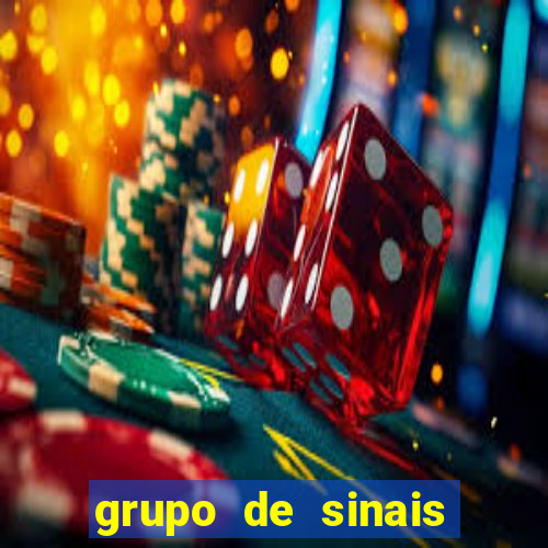grupo de sinais fortune rabbit