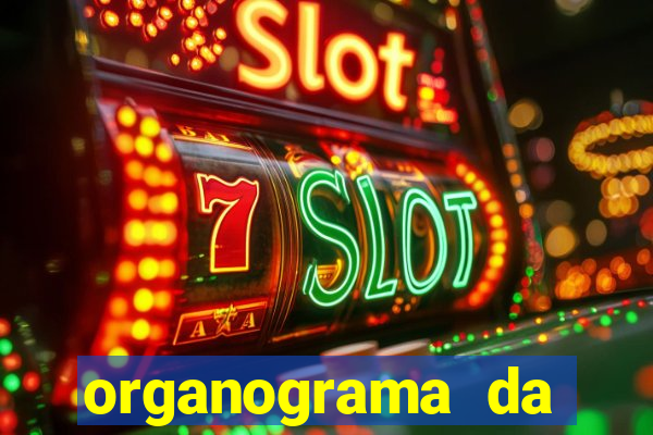 organograma da cacau show