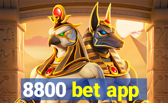 8800 bet app