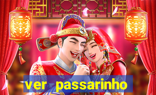 ver passarinho morto significado