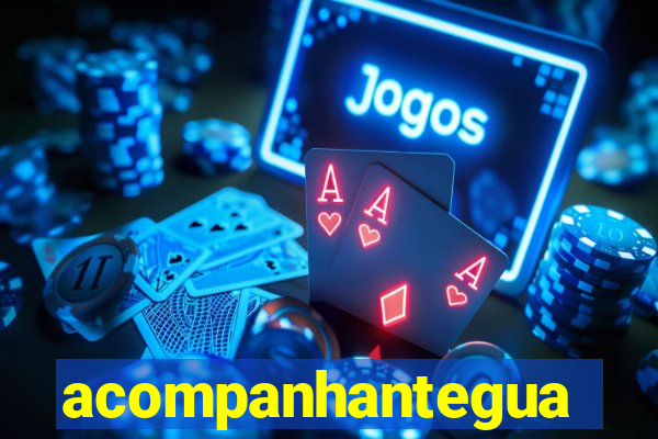 acompanhanteguanambi