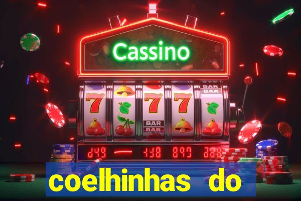 coelhinhas do brasil acompanhantes