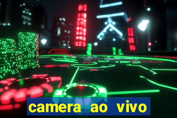 camera ao vivo terminal vila nova cachoeirinha