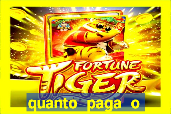 quanto paga o jungle fight