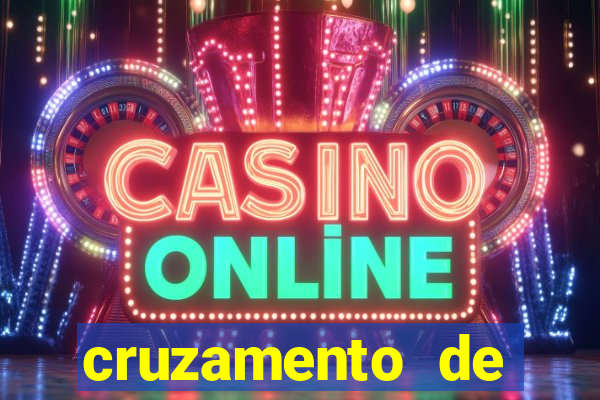 cruzamento de cavalo com jumenta globo rural