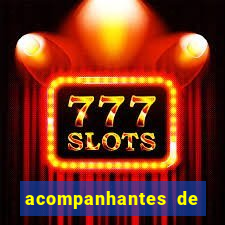 acompanhantes de luxo sc