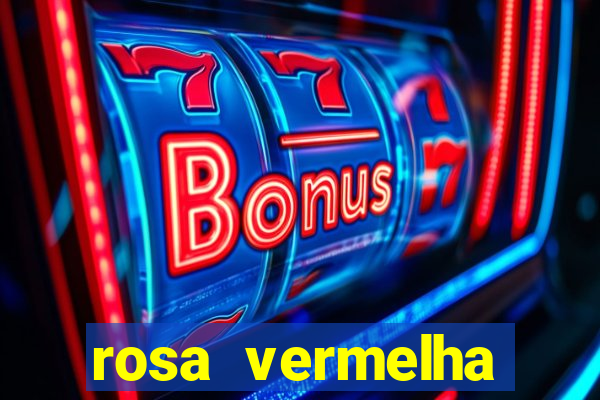 rosa vermelha (letra e cifra)