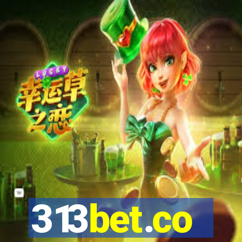 313bet.co
