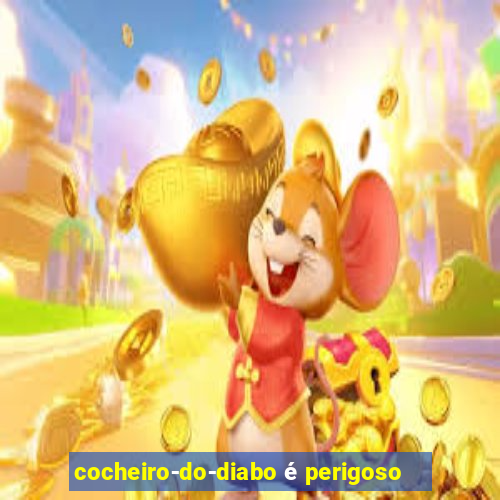 cocheiro-do-diabo é perigoso