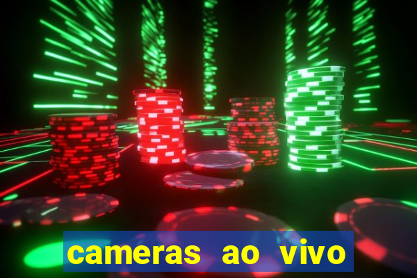 cameras ao vivo beto carrero
