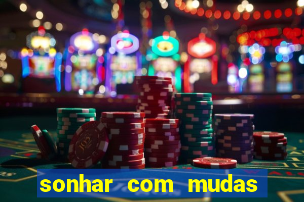 sonhar com mudas de plantas