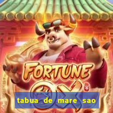 tabua de mare sao francisco do sul