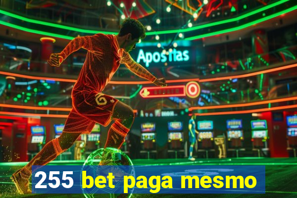 255 bet paga mesmo