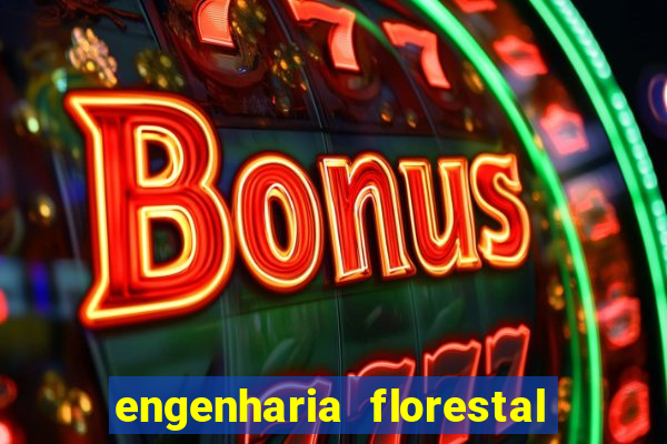 engenharia florestal ead cruzeiro do sul