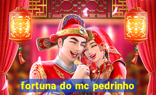 fortuna do mc pedrinho
