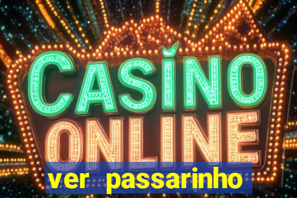 ver passarinho morto significado