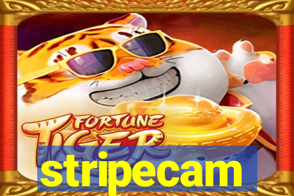 stripecam