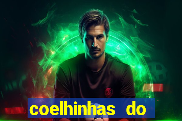 coelhinhas do brasil acompanhantes