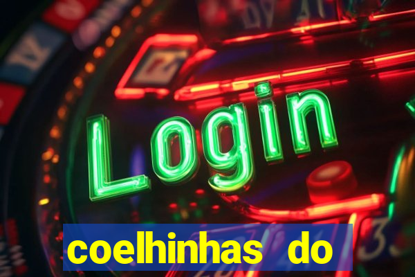 coelhinhas do brasil acompanhantes