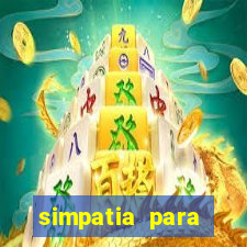 simpatia para ganhar na loteria com folha de louro