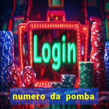 numero da pomba jogo do bicho