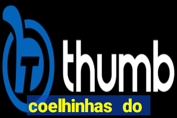 coelhinhas do brasil recife