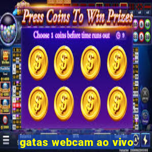 gatas webcam ao vivo