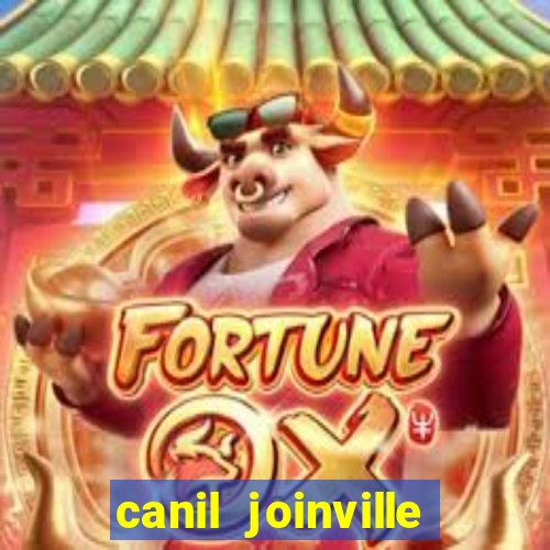 canil joinville vila nova