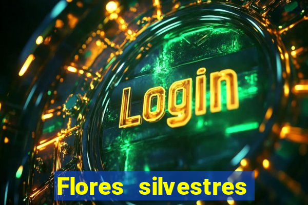 Flores silvestres brasileiras 25