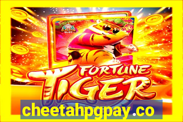 cheetahpgpay.com