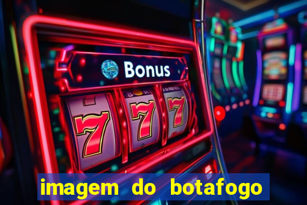 imagem do botafogo zuando o palmeiras