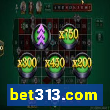 bet313.com