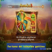 fortuna de reinaldo gottino
