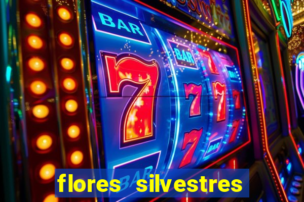 flores silvestres desbravadores desbravadores 25 flores silvestres e seus nomes