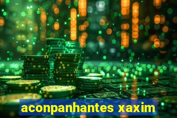 aconpanhantes xaxim