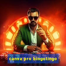 canva pro bingotingo