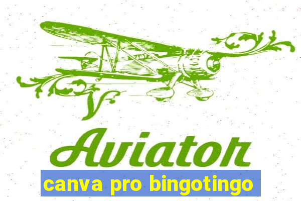 canva pro bingotingo